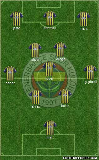 Fenerbahçe SK Formation 2014