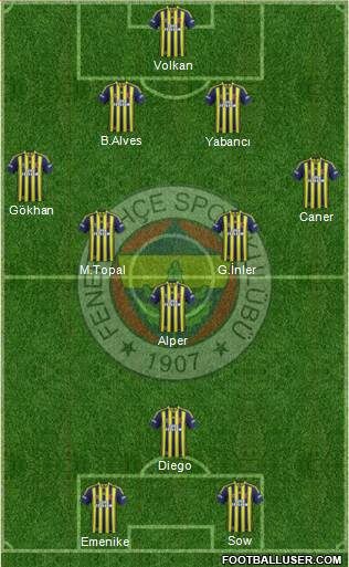 Fenerbahçe SK Formation 2014