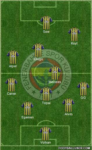 Fenerbahçe SK Formation 2014