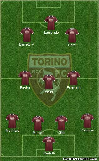Torino Formation 2014