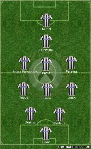 Udinese Formation 2014