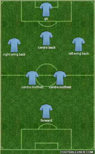 Tottenham Hotspur Formation 2014
