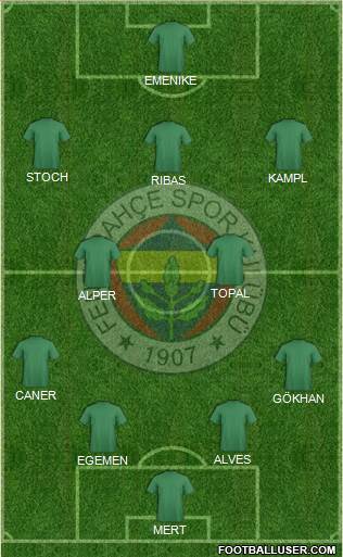 Fenerbahçe SK Formation 2014