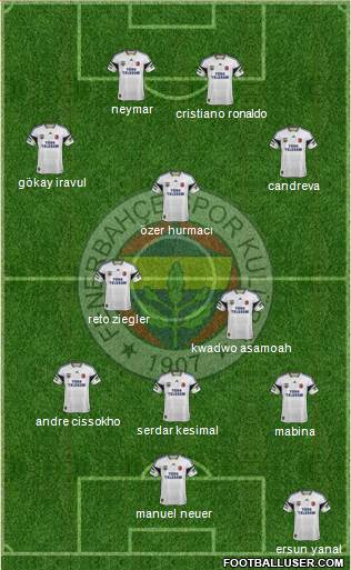Fenerbahçe SK Formation 2014