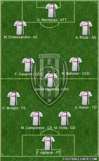 Cesena Formation 2014