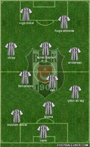 Besiktas JK Formation 2014