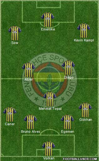 Fenerbahçe SK Formation 2014