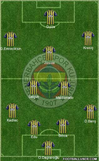Fenerbahçe SK Formation 2014