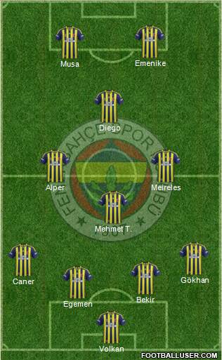 Fenerbahçe SK Formation 2014