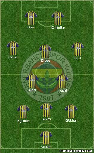 Fenerbahçe SK Formation 2014