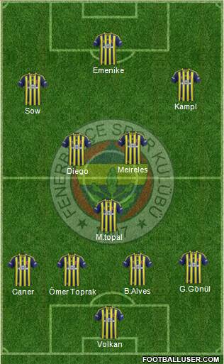 Fenerbahçe SK Formation 2014