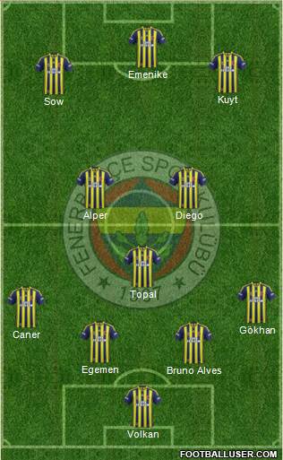 Fenerbahçe SK Formation 2014