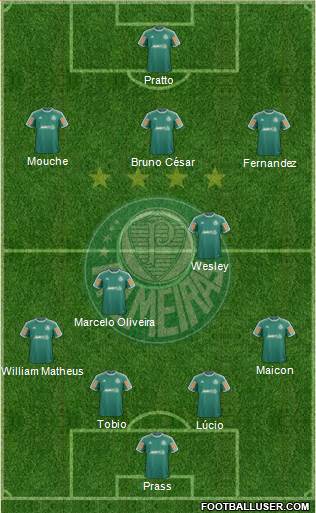 SE Palmeiras Formation 2014