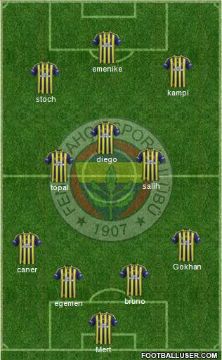 Fenerbahçe SK Formation 2014