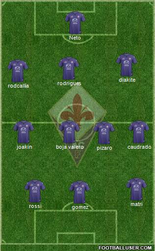 Fiorentina Formation 2014