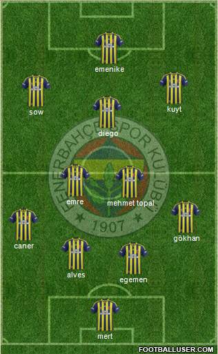 Fenerbahçe SK Formation 2014