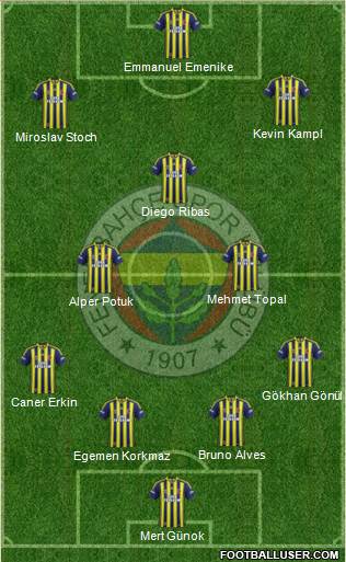 Fenerbahçe SK Formation 2014