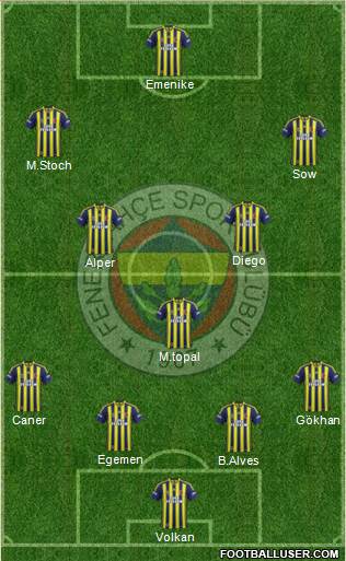 Fenerbahçe SK Formation 2014