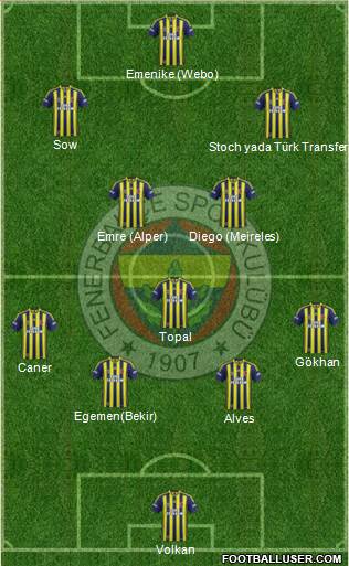 Fenerbahçe SK Formation 2014