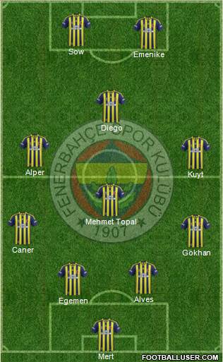 Fenerbahçe SK Formation 2014