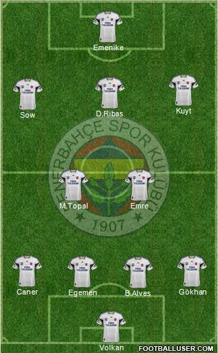 Fenerbahçe SK Formation 2014