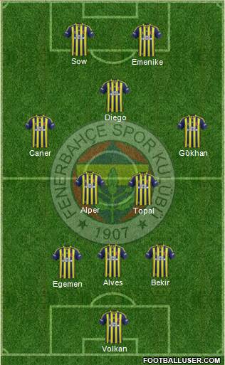 Fenerbahçe SK Formation 2014