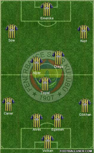 Fenerbahçe SK Formation 2014