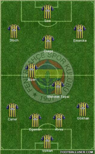 Fenerbahçe SK Formation 2014