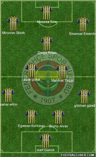 Fenerbahçe SK Formation 2014