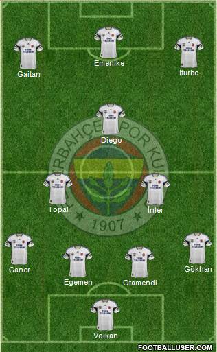 Fenerbahçe SK Formation 2014