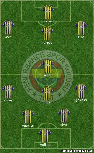 Fenerbahçe SK Formation 2014