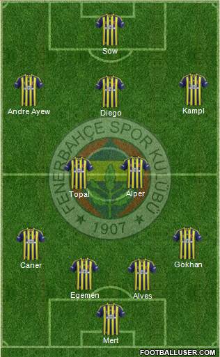Fenerbahçe SK Formation 2014