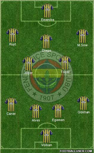 Fenerbahçe SK Formation 2014
