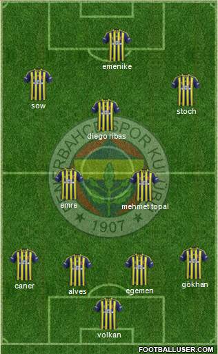 Fenerbahçe SK Formation 2014