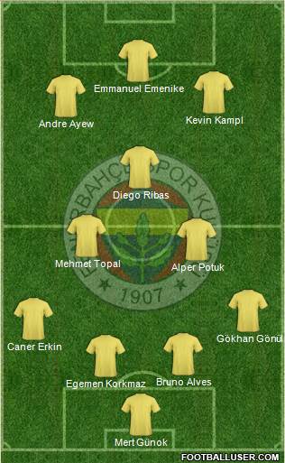 Fenerbahçe SK Formation 2014