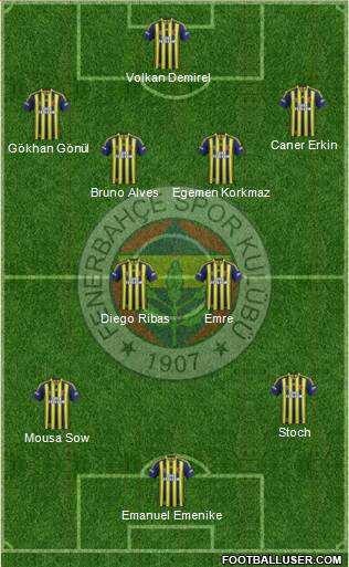 Fenerbahçe SK Formation 2014