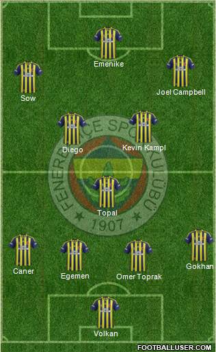 Fenerbahçe SK Formation 2014