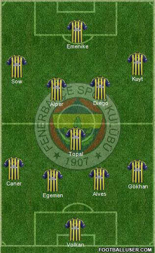 Fenerbahçe SK Formation 2014