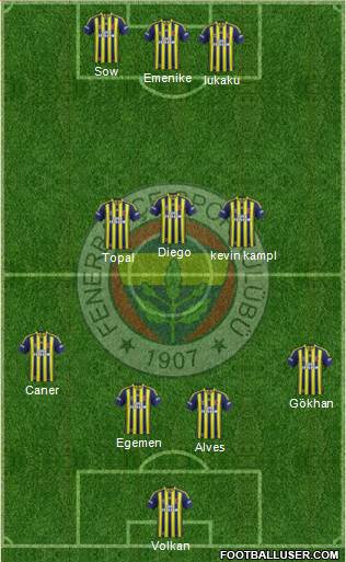 Fenerbahçe SK Formation 2014