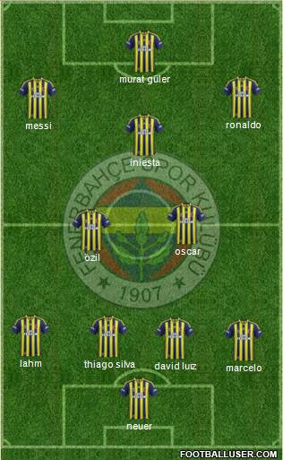 Fenerbahçe SK Formation 2014