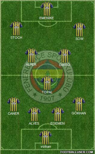 Fenerbahçe SK Formation 2014