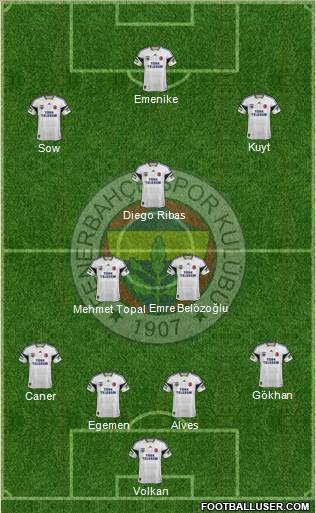 Fenerbahçe SK Formation 2014