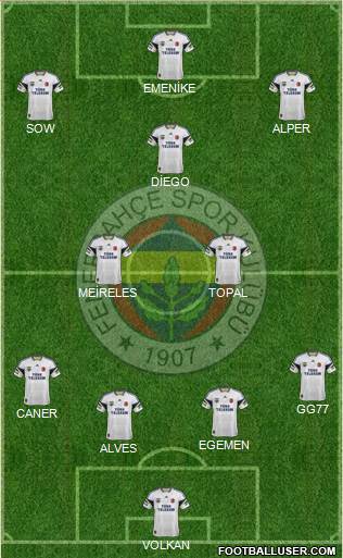Fenerbahçe SK Formation 2014