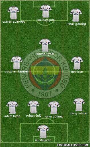 Fenerbahçe SK Formation 2014