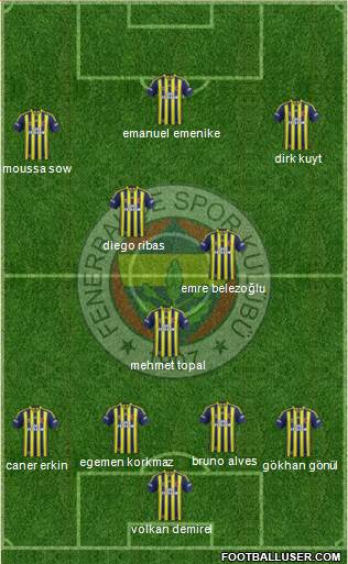 Fenerbahçe SK Formation 2014