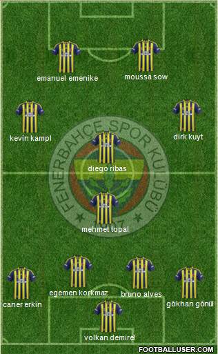 Fenerbahçe SK Formation 2014