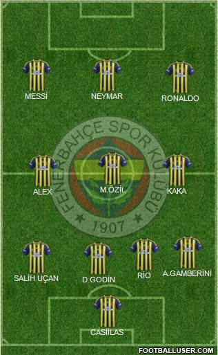 Fenerbahçe SK Formation 2014