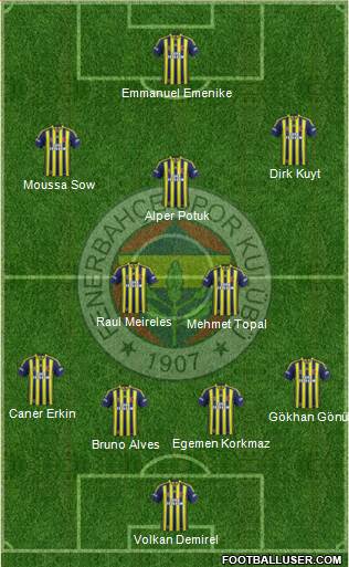 Fenerbahçe SK Formation 2014
