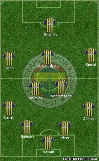 Fenerbahçe SK Formation 2014