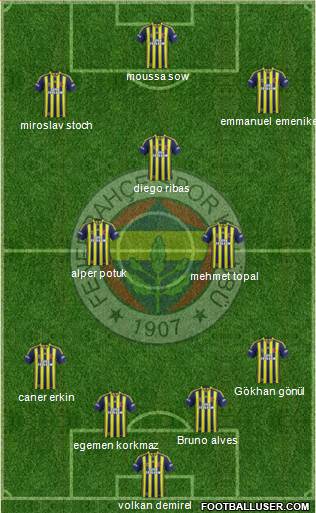 Fenerbahçe SK Formation 2014